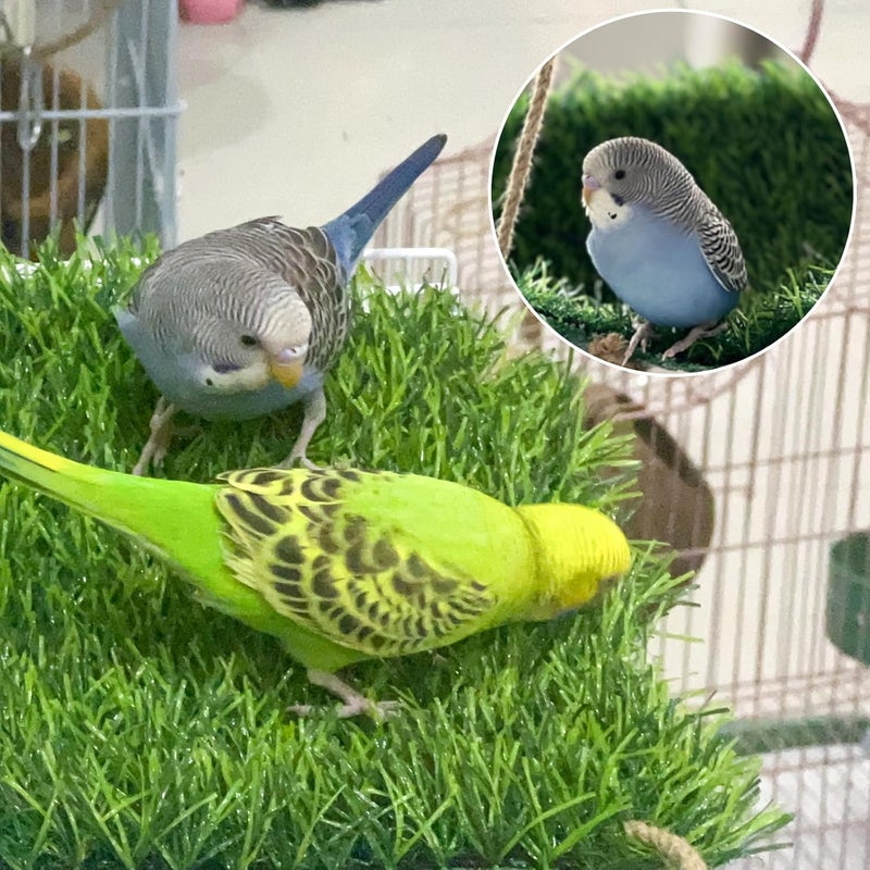 FlidRunest Large Bird Swing Toy, Bird Grass Mat Hammock Swing with Hooks, Parrot Climbing Foraging Toy for Cockatoo,Parakeets,Budgie,Sun Conure, Small to Medium 15.7x7.8 Inches - Image 4